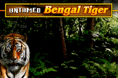 logo untamed bengal tiger microgaming gry avtomaty 
